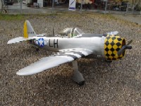 DSC00779.JPG
